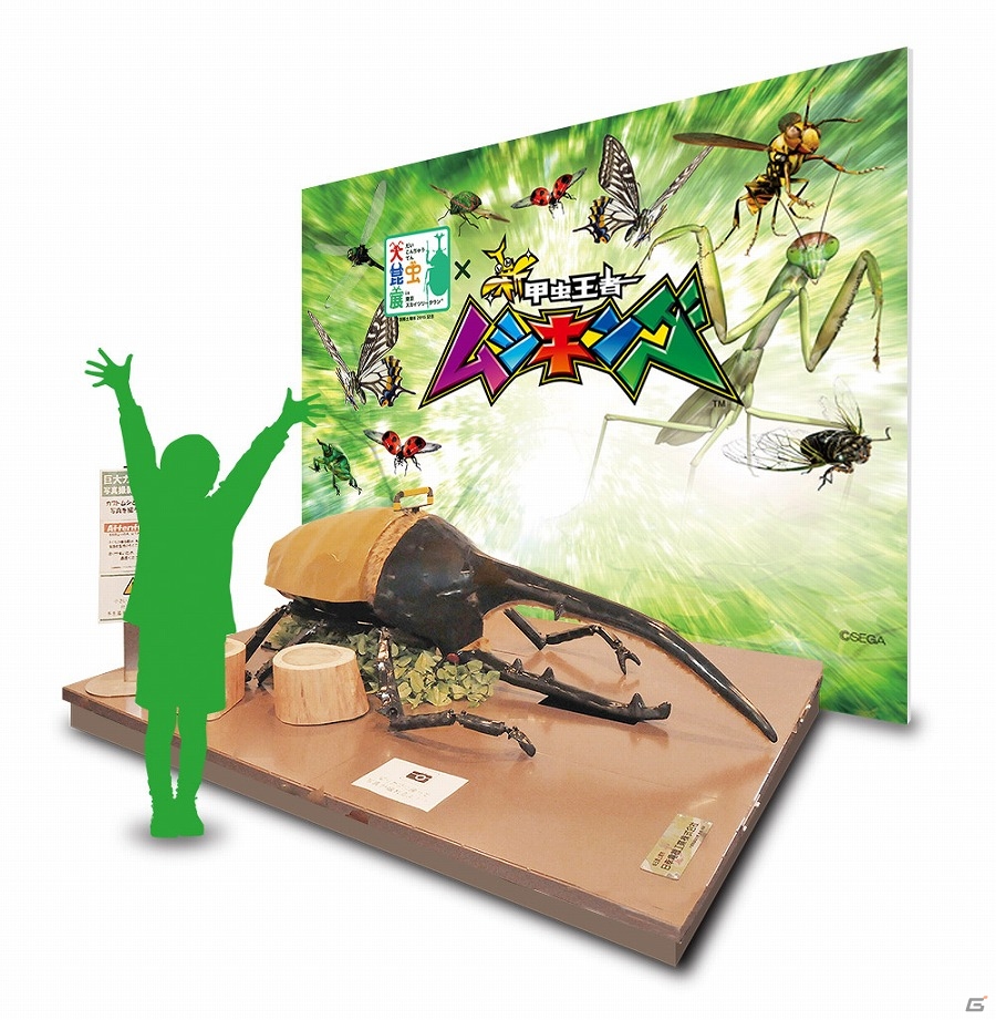 AC「新甲虫王者ムシキング」が“大昆虫展”や“巨大昆虫ワールド”などに出展！各会場にてカードのプレゼントも実施の画像4