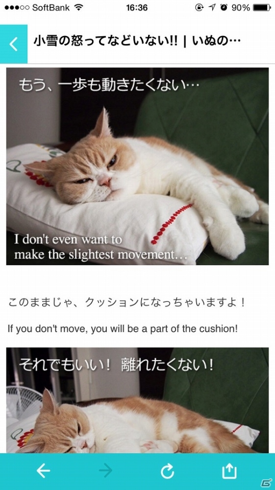 iOS/Android「ぐるぐるダンジョン のぶニャが」にてアプリ「ねこのきもち」とのコラボレーションが開始の画像6