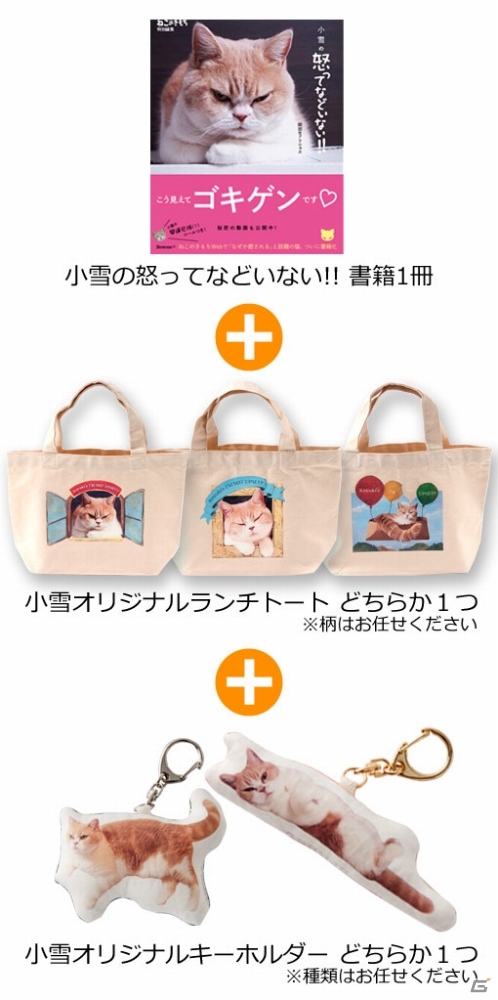 iOS/Android「ぐるぐるダンジョン のぶニャが」にてアプリ「ねこのきもち」とのコラボレーションが開始の画像7
