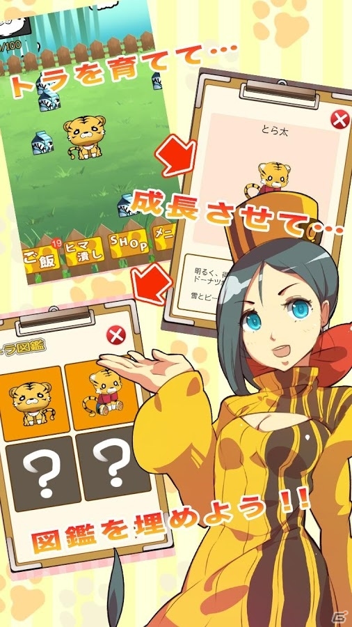 ゆるかわなトラを育てるiOS/Android「たいがーふぁーむ」が配信スタートの画像2