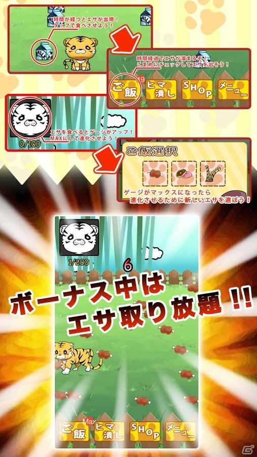 ゆるかわなトラを育てるiOS/Android「たいがーふぁーむ」が配信スタートの画像3