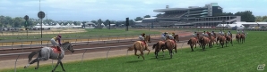 AC「StarHorse3 SeasonIV DREAM ON THE TURF」本日稼働―店舗間対戦の実装や新馬券「トライ」の追加など新要素が盛りだくさん！の画像4