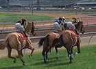 AC「StarHorse3 SeasonIV DREAM ON THE TURF」本日稼働―店舗間対戦の実装や新馬券「トライ」の追加など新要素が盛りだくさん！