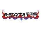 「第2回e-sports甲子園 -League of Legends-」優勝チームに東京ゲームショウ2015特設会場での決勝大会出場権を授与
