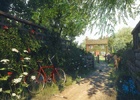 PS4「Everybody's Gone to the Rapture -幸福な消失-」終焉の一幕を予感させるPV「何もかも終わり」が公開