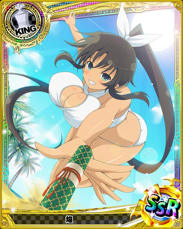 Mobage「ハイスクールD×D」にて「閃乱カグラ NewWave Gバースト」コラボカードを入手できるレイドボスイベントが開催の画像9