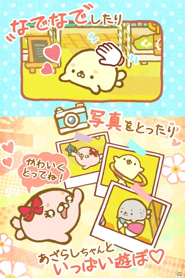 なでなで癒し系ゲーム「ウチのあざらしちゃん」が配信開始―河原のカフェにあざらしちゃんたちが集まってくる！の画像3
