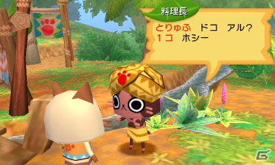 3DS「モンハン日記 ぽかぽかアイルー村DX」村の住人を集める方法を紹介―個性豊かなアイルーで村をにぎやかにしよう！の画像5