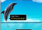 イルカを立たせて泳がせ距離を競うAndroid「イルカって立つんでしょ？」配信開始