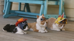 3DS「モンハン日記 ぽかぽかアイルー村DX」かわいい猫たちが登場するWEB CM「吾輩はアイルーである。」の第二話から第六話までが一挙に公開！の画像10