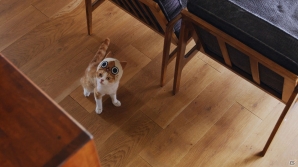 3DS「モンハン日記 ぽかぽかアイルー村DX」かわいい猫たちが登場するWEB CM「吾輩はアイルーである。」の第二話から第六話までが一挙に公開！の画像13