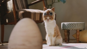 3DS「モンハン日記 ぽかぽかアイルー村DX」かわいい猫たちが登場するWEB CM「吾輩はアイルーである。」の第二話から第六話までが一挙に公開！の画像16
