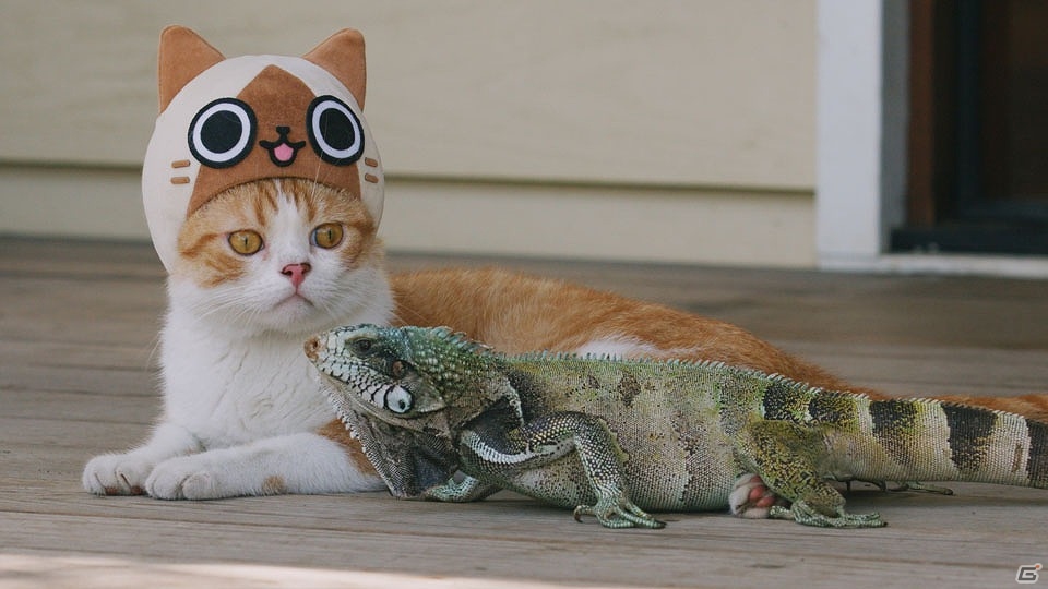 3DS「モンハン日記 ぽかぽかアイルー村DX」かわいい猫たちが登場するWEB CM「吾輩はアイルーである。」の第二話から第六話までが一挙に公開！の画像7