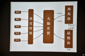 【CEDEC 2015】ゲームに思い出補正はある？「ゲームにおける既視感で、どうユーザーの気持ちを掴むか？」をレポートの画像28