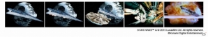 iOS/Android「スター・ウォーズ フォース コレクション」2周年記念カード「ダース・ベイダー＆皇帝パルパティーン」が登場の画像4