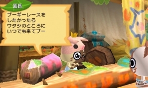 3DS「モンハン日記 ぽかぽかアイルー村DX」レースや占いが楽しめる「プーギーパーク」が開園！着せ替えてくれる衣装係も紹介の画像5