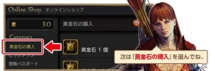 「ドラゴンズドグマ オンライン」8人コンテンツのグランドミッション「グリッテン砦攻防戦」が9月8日に開催！初心者向けヤングモンスターも登場の画像16