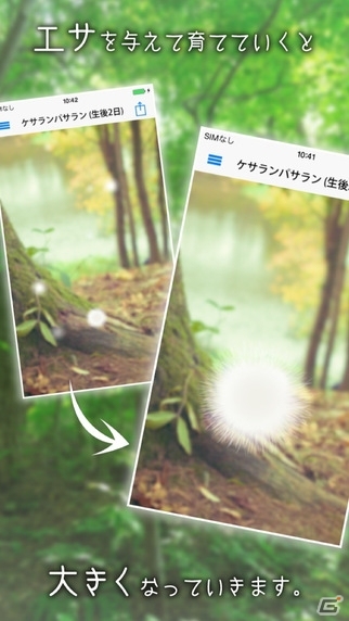 幸福の運び手・ケサランパサランを育てよう！iOS「ケサランパサラン」が配信開始の画像2