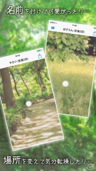 幸福の運び手・ケサランパサランを育てよう！iOS「ケサランパサラン」が配信開始の画像3