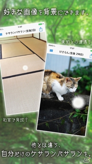 幸福の運び手・ケサランパサランを育てよう！iOS「ケサランパサラン」が配信開始の画像4