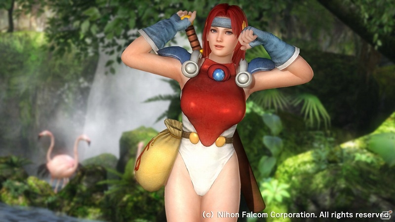「DEAD OR ALIVE 5 Last Round」お馴染みのキャラのコスチュームが楽しめる「日本ファルコム」新旧タイトルとのコラボコスチュームが配信開始！の画像8