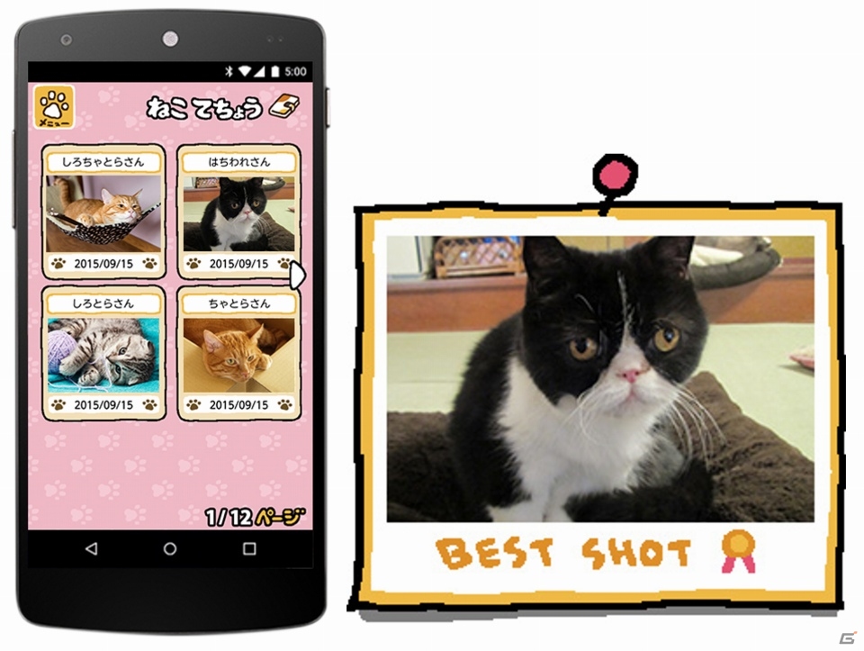 “あの部屋”を完全再現した「リアルねこあつめ」の様子がライブ配信中の画像3