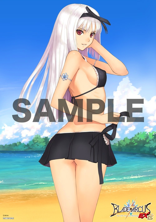PS4/PS3「ブレードアークス from シャイニングEX」限定版アイテムの描き下ろしビジュアル＆販売店別予約特典第4弾が公開！の画像11