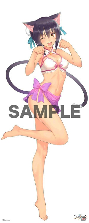 PS4/PS3「ブレードアークス from シャイニングEX」限定版アイテムの描き下ろしビジュアル＆販売店別予約特典第4弾が公開！の画像9