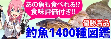 Mobage「釣りっぱ」1400種の海水魚・淡水魚完全見分けガイドがもらえる！「ゴキゲン洋キハダマグロ釣り大会」が9月22日より開催の画像1
