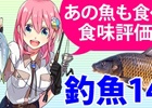 Mobage「釣りっぱ」1400種の海水魚・淡水魚完全見分けガイドがもらえる！「ゴキゲン洋キハダマグロ釣り大会」が9月22日より開催