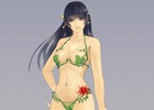 PS4/PS Vita「DEAD OR ALIVE Xtreme 3」マリー、ほのか、かすみ、女天狗の特典イメージイラストが公開
