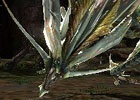 3DS「モンスターハンタークロス」アマツマガツチなどの人気モンスターたちが再登場！懐かしの“ココット村”や護石を作り変える施設「マカ錬金の蔵」を紹介