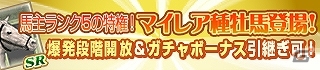 PC版「100万人のWinning Post Special」馬主ランク5開放＆新機能「マイレア種牡馬」が登場！3周年記念大型アップデートを実施の画像3