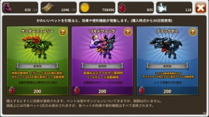 iOS/Android「ドラゴンスラッシュ」鍛冶屋やペットシステムが実装！アップデート記念「BLACK FRIDAY」キャンペーンも開催中の画像8