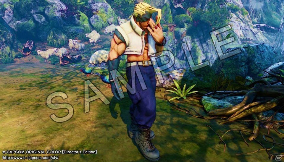 イーカプコン限定版「ストリートファイターV VALUABLE EDITION」に付属する全16キャラの限定カラーが公開！の画像6