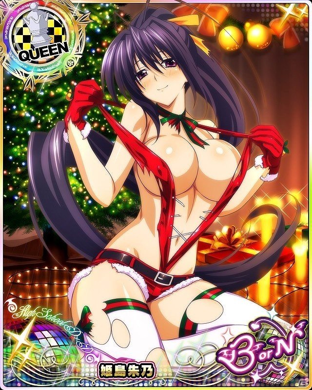 Mobage「ハイスクールD×D」レイドイベント「サンタなガールズに変身です!」が開催の画像7