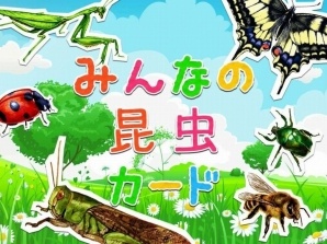 お馴染みから珍しいのまで昆虫探求 知育カードアプリ みんなの昆虫カード が配信 ゲーム情報サイト Gamer