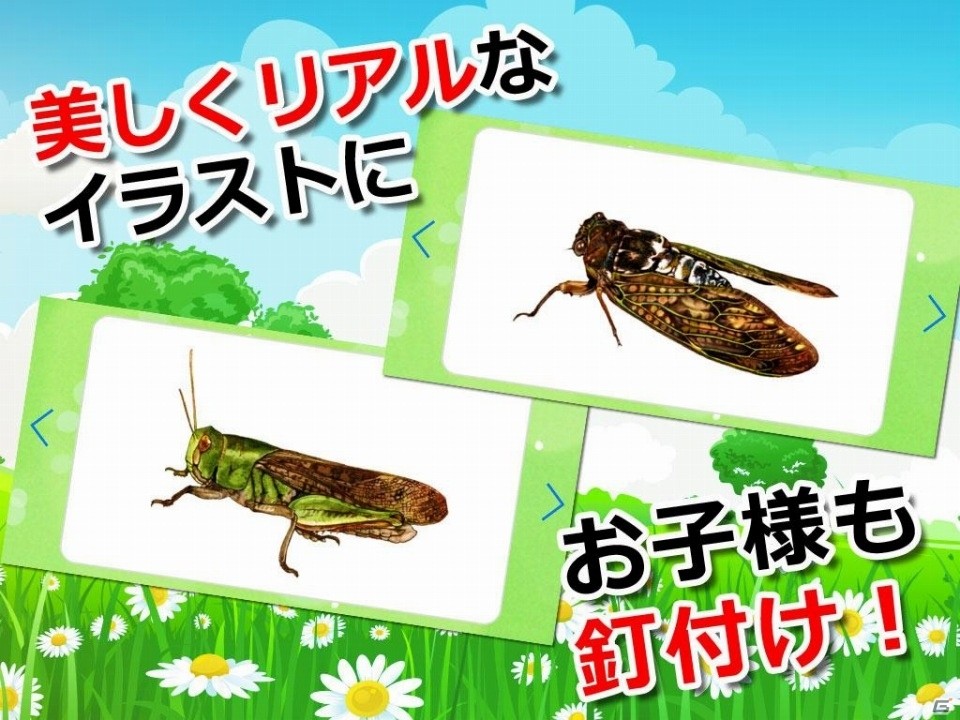 お馴染みから珍しいのまで昆虫探求 知育カードアプリ みんなの昆虫カード が配信の画像 ゲーム情報サイト Gamer