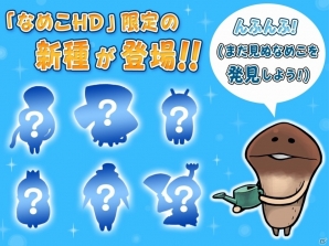 初代なめこがHD画質で蘇る！「なめこ栽培キット HD」「なめこ栽培キットSeasons HD」が配信開始の画像3