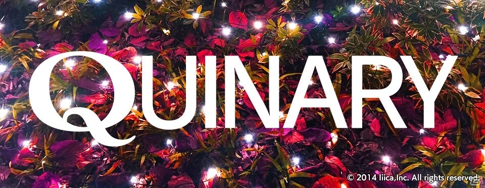iOS/Android「Q」1周年記念カウントダウンイベントが開始―第1弾・問題60問パック「QUINARY」が追加！の画像1