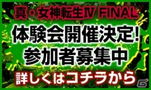 3DS「真・女神転生IV FINAL」新キャラクター「ノゾミ」、新悪魔「ダヌー」「ナパイア」が公開の画像4