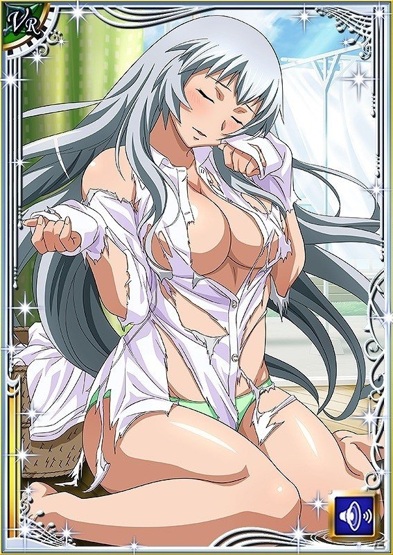 GREE/Mobage/dゲーム「一騎当千バーストファイト」レイドイベント「ドタバタ☆大掃除フェスティバル」が開催の画像14