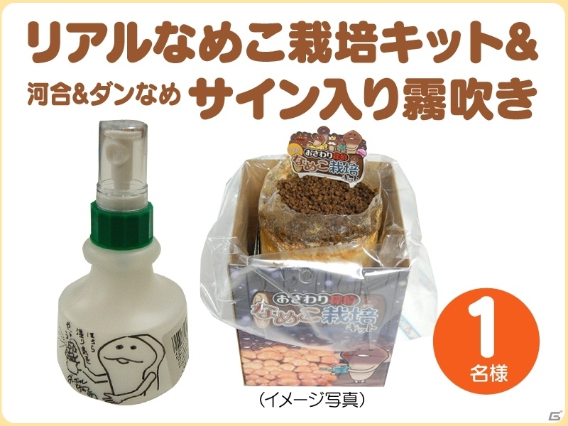 リアルなめこ栽培キットが当たる！「なめこ栽培キット H（ハッピー）D（ドリーム）Twitterキャンペーン」が開始の画像2