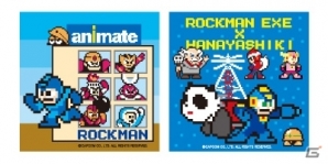 コラボ企画「ロックマン エグゼ ハナヤシキミッション」が浅草花やしきにて2月に開催決定の画像20