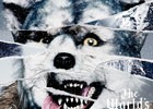 「ストリートファイターV」“MAN WITH A MISSION”が歌うイメージソング「Survivor」とのコラボ映像が公開！特別企画第3回目もチェック