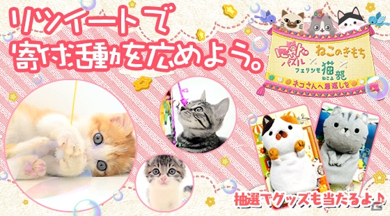 iOS/Android「にゃんパズル」と雑誌「ねこのきもち」とのコラボが開催―里親のいない猫を守るチャリティが実施の画像2
