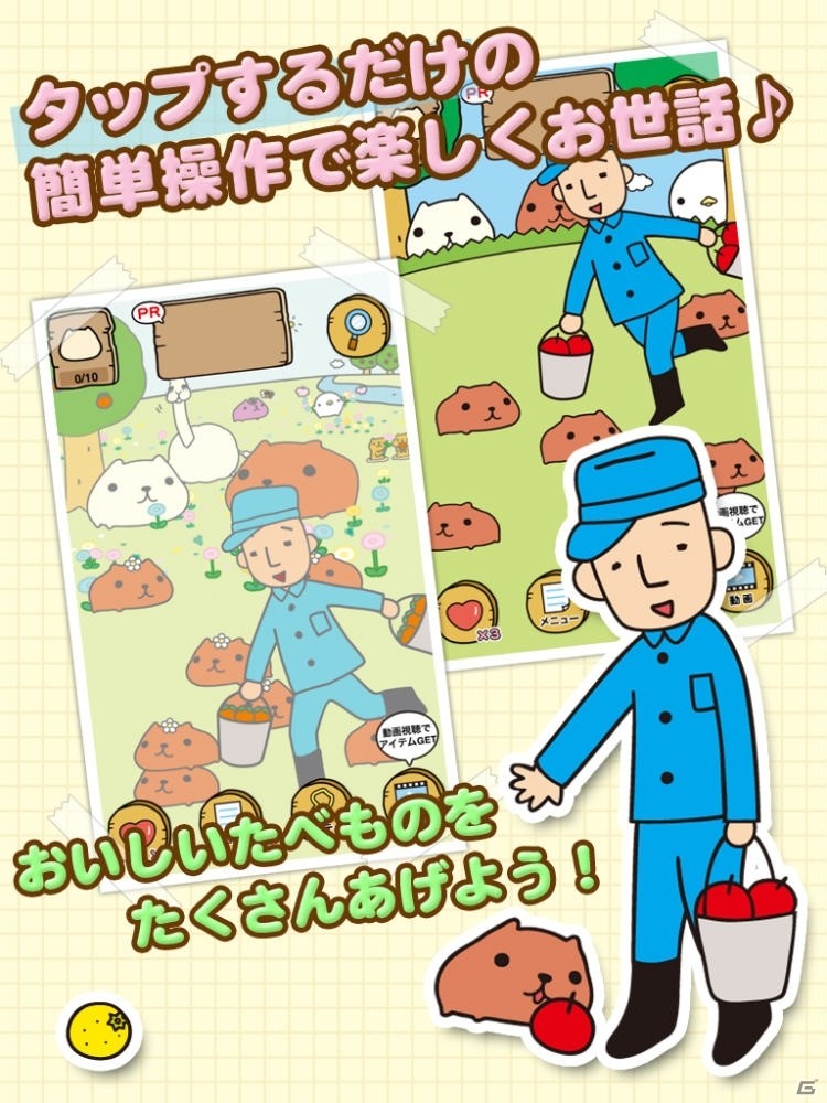 iOS/Android「カピバラさん～仔カピのお世話日誌～」が配信中！飼育員のお兄さんになってカピバラさんをお世話しようの画像3