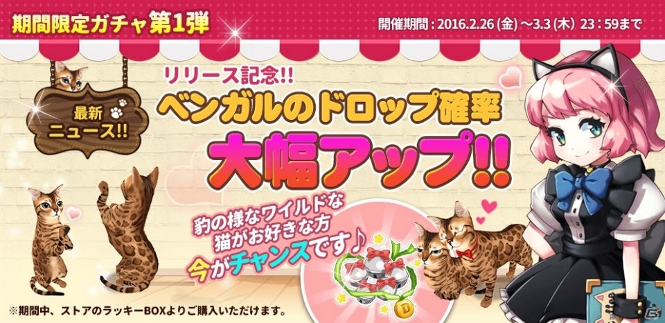 iOS/Android「マイにゃんカフェ」が配信開始！ログインボーナス＆カフェレベルUP応援イベントも開催中の画像5
