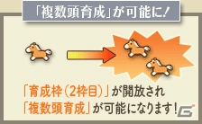「100万人のWinning Post」「100万人のWinning Post Special」にて「2016年リニューアル」が開始！第1弾では新次元グランプリバトル＆プレミアムコースが開催の画像6