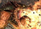 「ドラゴンズドグマ オンライン」レスタニアの大地を脅かす強大なモンスターたちを振り返って紹介！